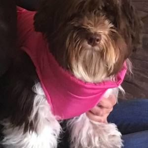 Meet your Posher, Regina